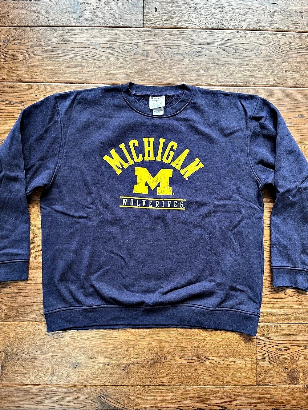 Vintage Champion U Michigan Crewneck Pullover